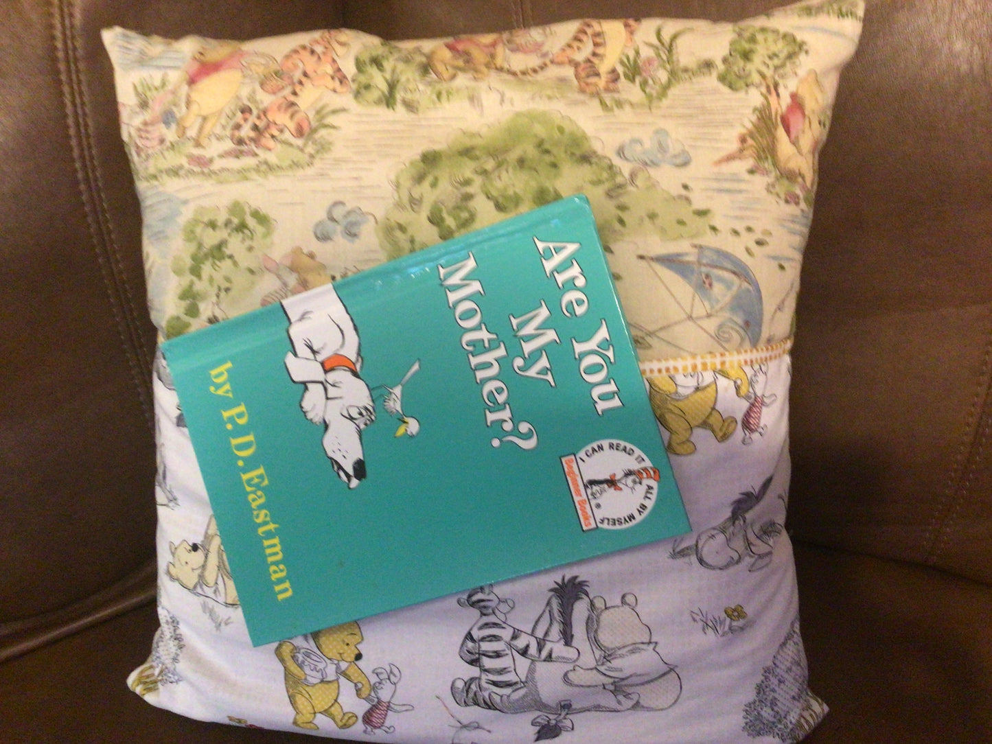 Reading Book Pillow with Pocket (Insert and book Included)**Dr. Seuss Edition**